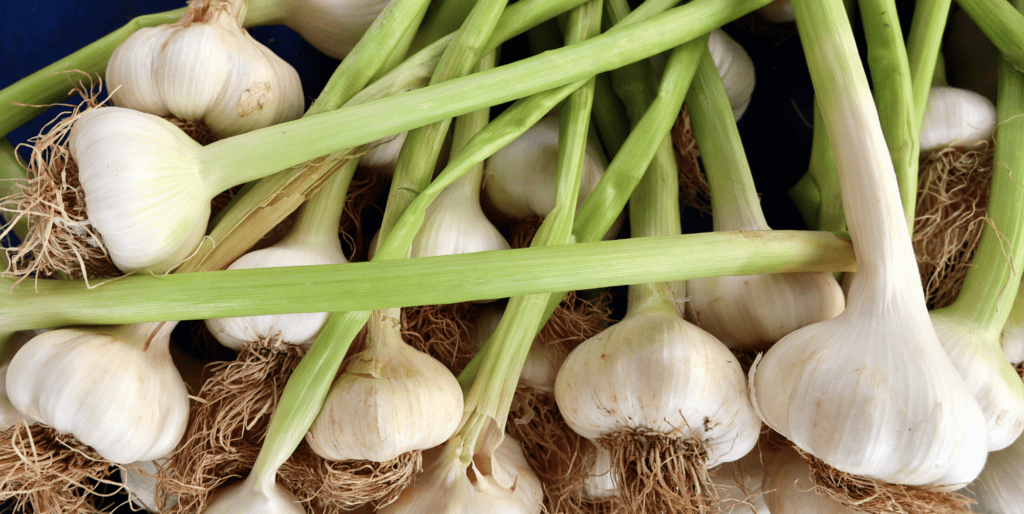 is-garlic-acidic-or-alkaline-dr-russell-jaffe